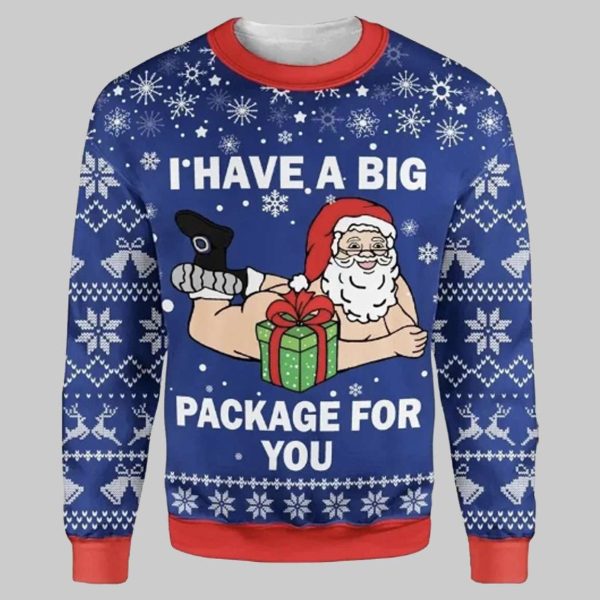 I Have A Big Package For You Christmas Ugly Sweater
